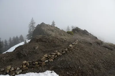 DSC_0875 (Large).JPG